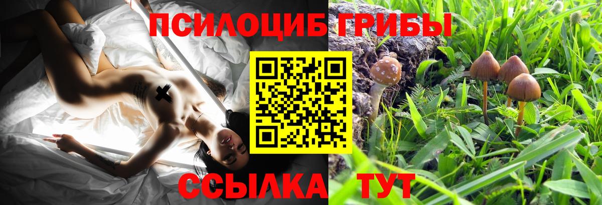 Алушта  Псилоцибиновые грибы Cubensis  Вход с VPN  Псилоцибиновые грибы мухоморы 